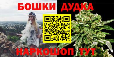 индика Краснокаменск