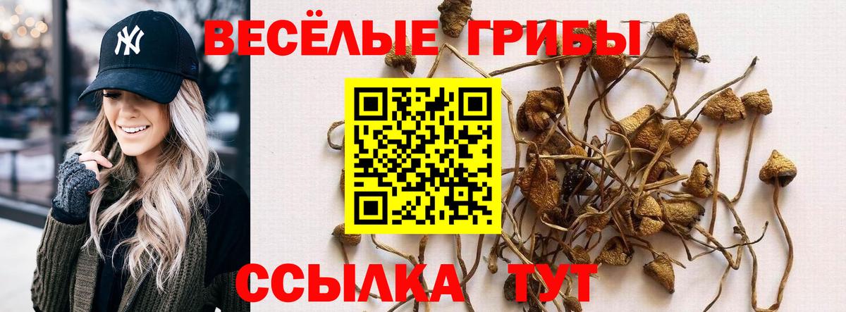 Галлюциногенные грибы MAGIC MUSHROOMS Изобильный