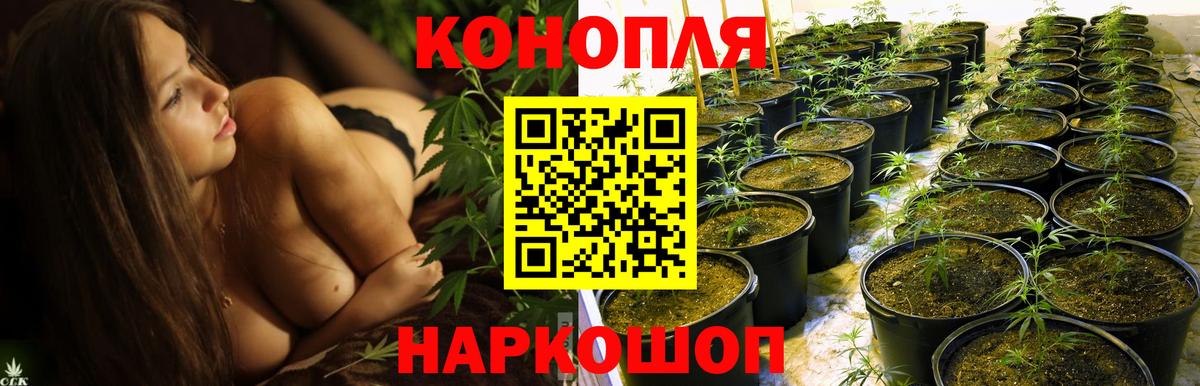 Канабис гибрид Изобильный